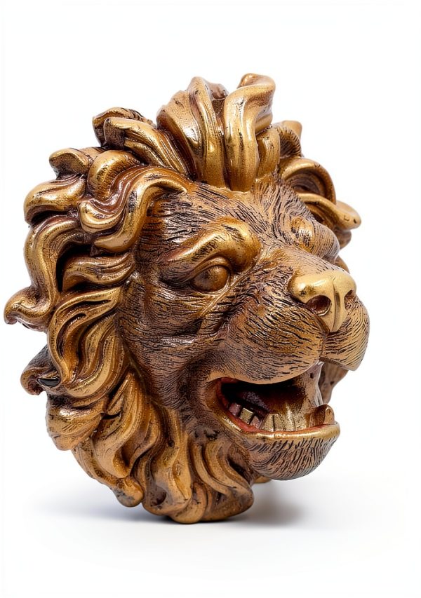 PRETYZOOM Lion Head Fountain Nozzle Wall Mount Pond Water Spitter-6