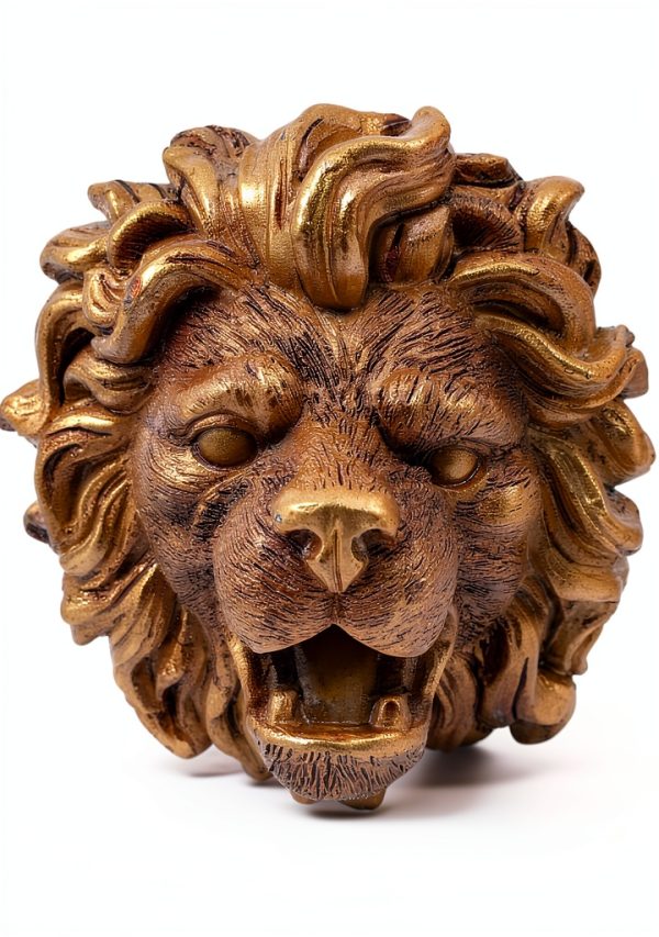 PRETYZOOM Lion Head Fountain Nozzle Wall Mount Pond Water Spitter-0