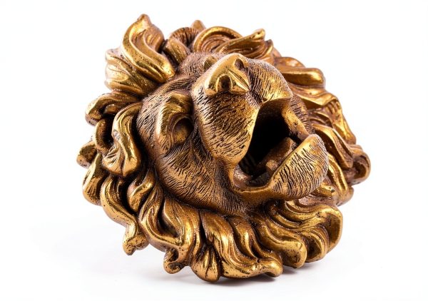 PRETYZOOM Lion Head Fountain Nozzle Wall Mount Pond Water Spitter-4