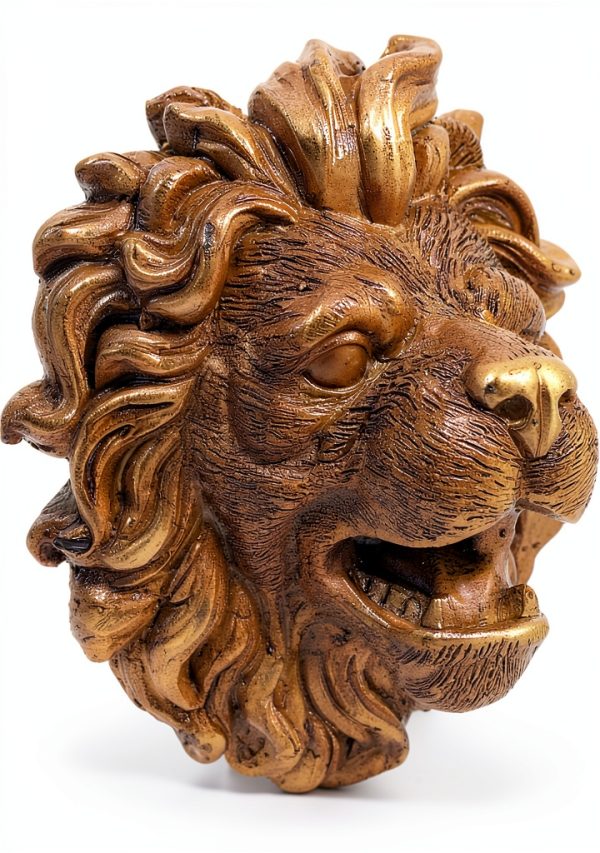 PRETYZOOM Lion Head Fountain Nozzle Wall Mount Pond Water Spitter-7