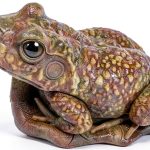 Little Giant Frog Pond Water Spitter – Lightweight Corrosion‑Resistant-0