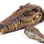 Yorkmills Crocodile Head Decoy for Pond Yard – Natural Resin-0