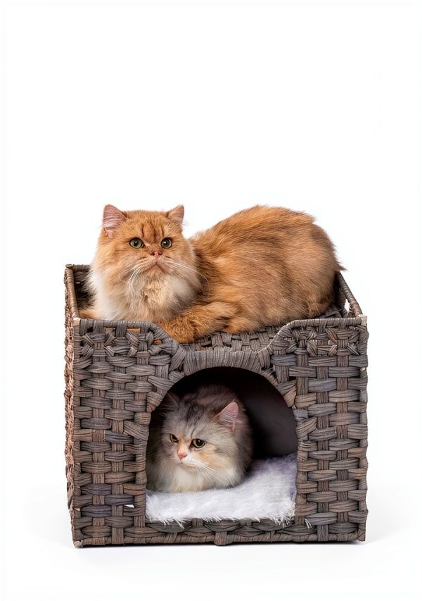Cat Beds Indoor Kitten House SETVSON Handwoven Rattan Gray Cube 16.5"-1