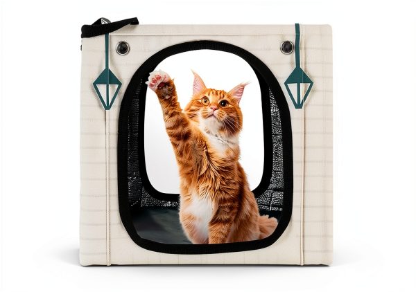 Weatherproof Heated Cat House by GASUR – Insulated Shelter with UL Pad-5