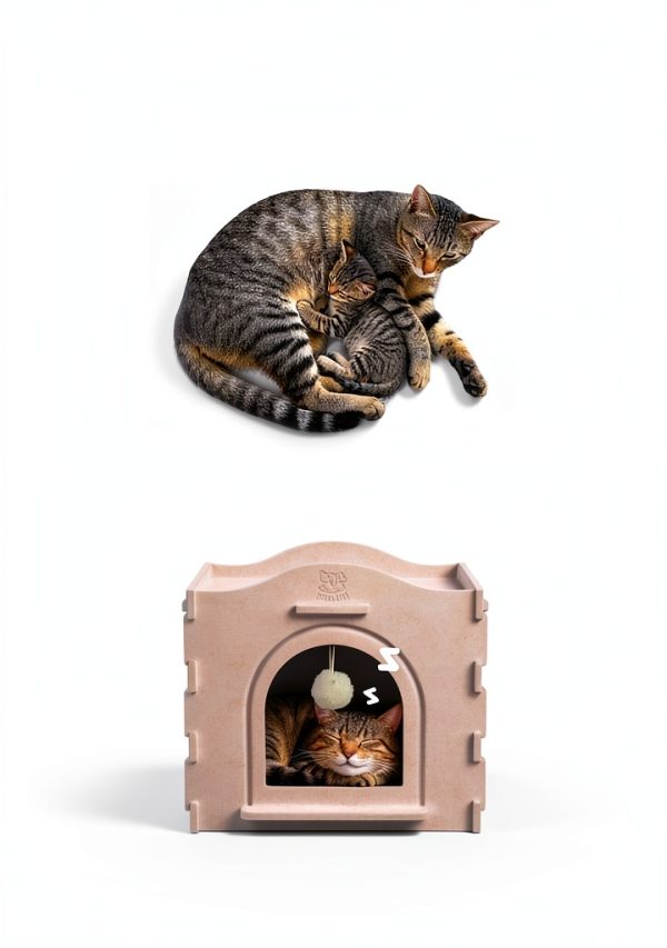 Indoor Cat House Apasiri Warm Insulated Durable Condo-3